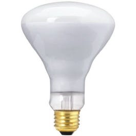 Flood Light Bulb, 65-Watts