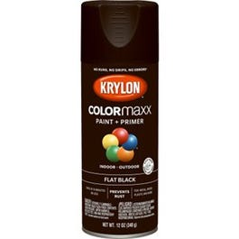 COLORmaxx Spray Paint + Primer, Flat Black, 12-oz.