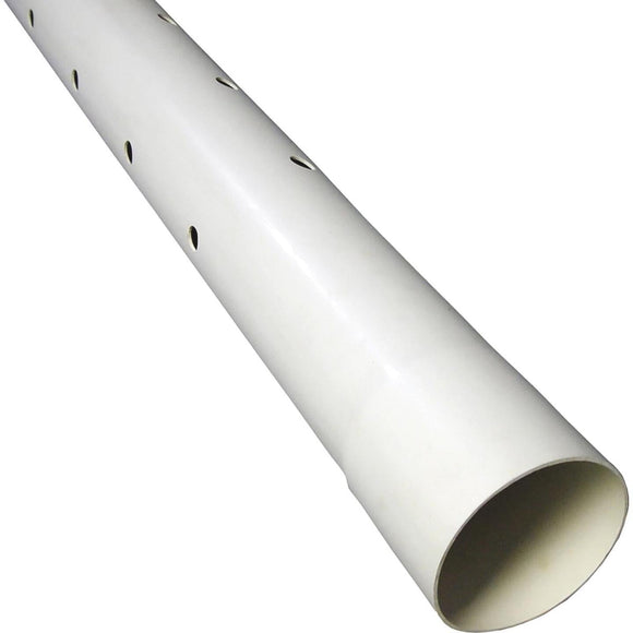 Charlotte Pipe 4 In. x 10 In. Perforated PVC Drain and Sewer Pipe, Belled End (2-Row)