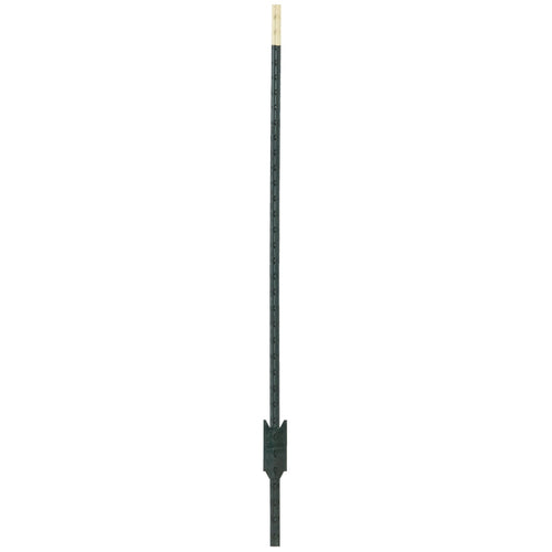 Do It Best 6 Ft. Steel 1.25 Lb/Ft. Fence T-Post